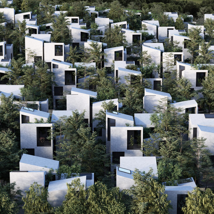 BoulderHouses_Precht_02